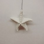 STAR FISH