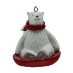 POLAR BEAR SLEDDING