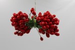 RED BERRIES ON WIRE