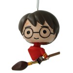 HARRY POTTER RIDING BROOM