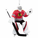 CHICAGO BLACKHAWKS GOALIE