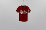 CINCINNATI REDS