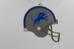 DETROIT LIONS