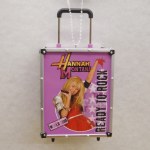 HANNAH MONTANA CASE