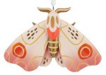 MOTH