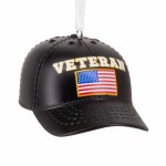 VETERAN HAT