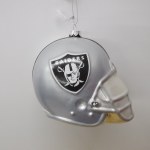 RAIDER'S TEAM HELMENT