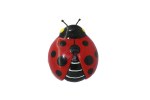 LADY BUG MAGNET