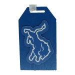 DETROIT LIONS GIFT TAG