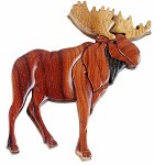 MOOSE MAGNET