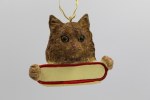 TABBY CAT BROWN