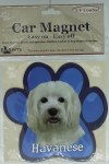 HAVANESE MAGNET