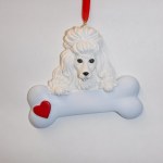 POODLE WITH BONE