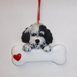 HAVANESE WITH BONE