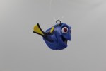 DORY