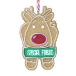 SPECIAL FRIEND