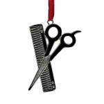 SCISSORS WITH COMB