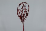 RED GLITTERED LOOP PICK