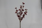 14" RED PICK