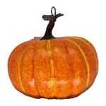 FALL FRUIT PUMPKIN ORANGE
