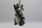 RACCOON