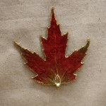 SUGAR MAPLE LEAF MAGNET