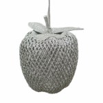 SILVER MESH APPLE