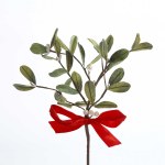 MISTLETOE PICK