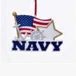 US NAVY  WITH FLAG