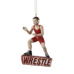 WRESTLING BOY IN RED