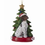 GERMAN SHORTHAIR POINT WITH TREE