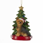 YORKSHIRE TERRIER WITH TREE