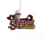 SOFTBALL PLAYER