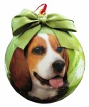 BEAGLE BALL