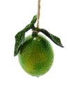 ORCHARD LIME