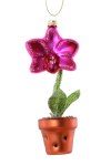 SINGLE POTTED ORCHID