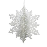 SNOWFLAKE 3D