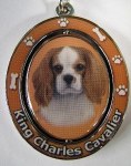 KING CHARLES CAVALIER