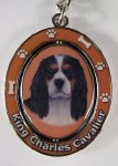 KING CHARLES CAVALIER  TRIE CO