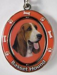 BASSETT HOUND