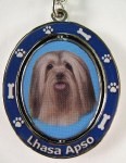 LHASA APSO