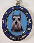 SCHNAUZER, CROPPED