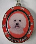 BICHON FRISE