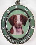 BRITTANY SPANIEL