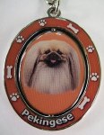 PEKINGESE