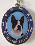 BOSTON TERRIER