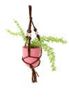 HANGING HOUSEPLANT