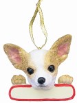 CHIHUAHUA WITH PLAQUE