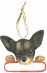 CHIHUAHUA WITH PLAQUE