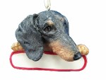 DACHSHUND WITH NAME PLATE